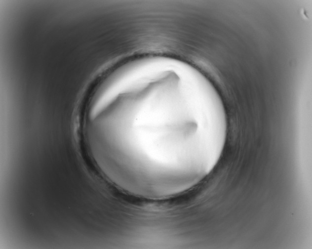 X0000088040680200706011324