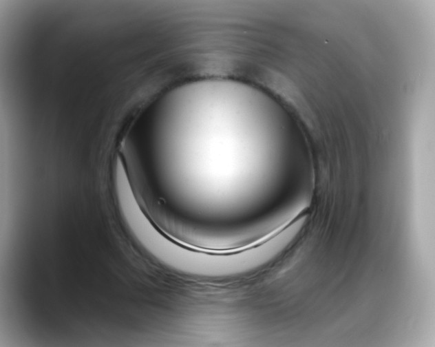 X0000088040681200706011324