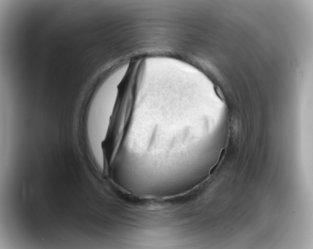 X0000088040684200706011324