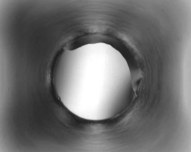 X0000088040685200706011324