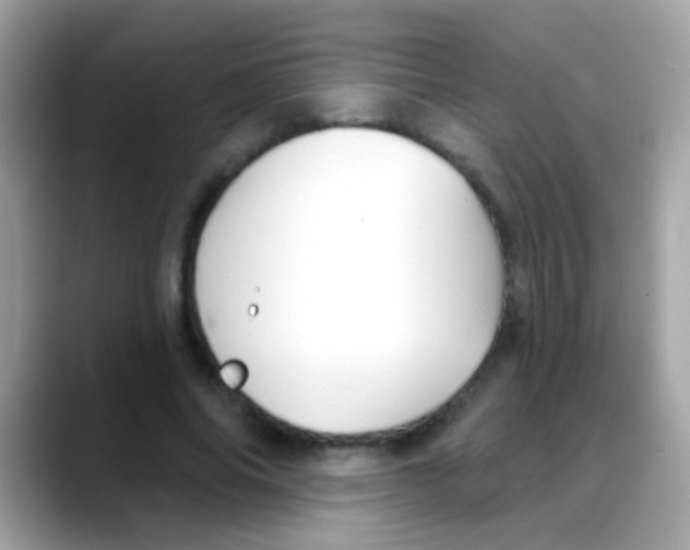 X0000088040686200706011324