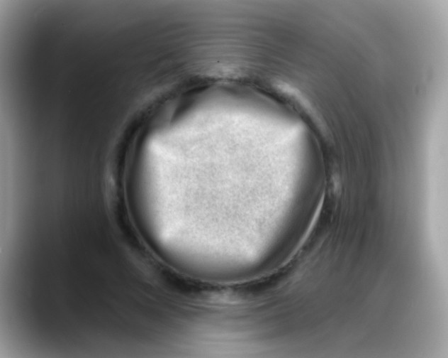 X0000088040688200706011324