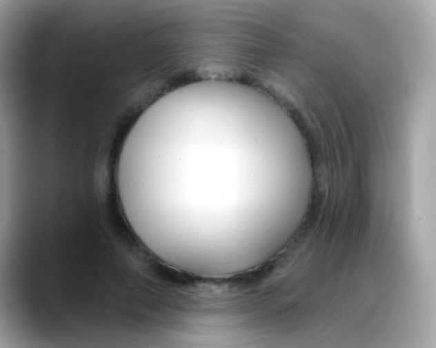 X0000088040690200706011324