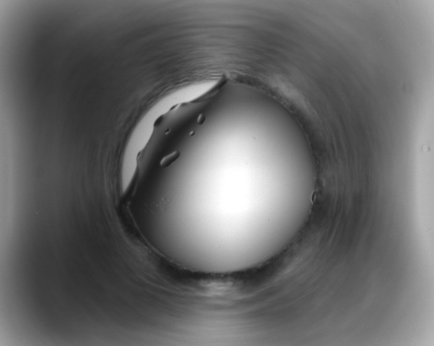 X0000088040693200706011324