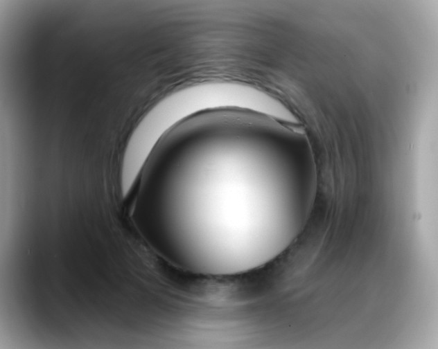 X0000088040697200706011324