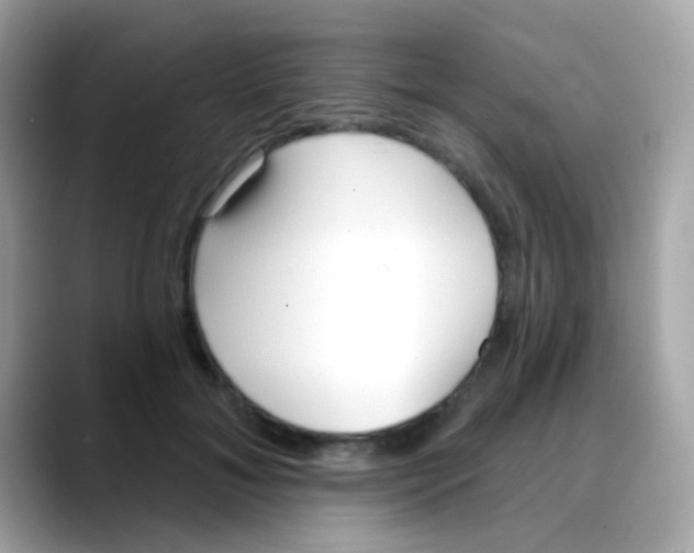 X0000088040700200706011324