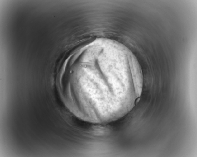 X0000088040703200706011324