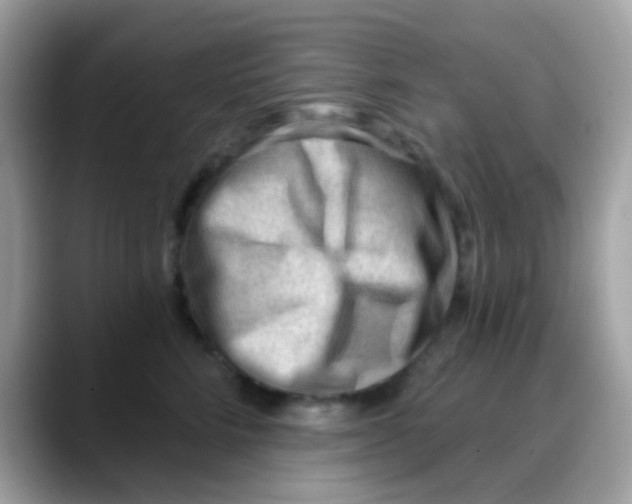 X0000088040712200706011324