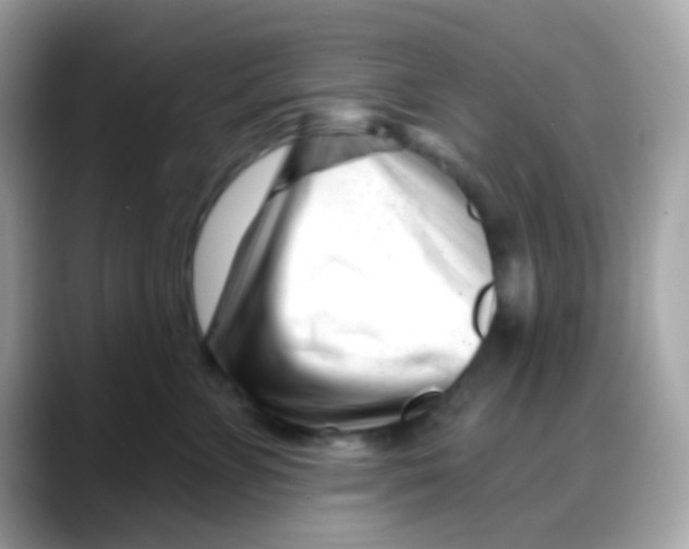 X0000088040715200706011324