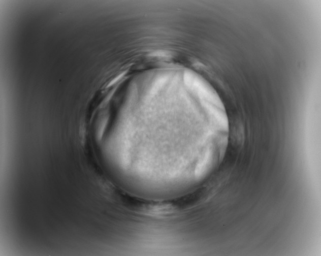 X0000088040716200706011324