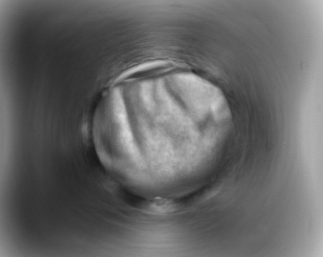 X0000088040720200706011324