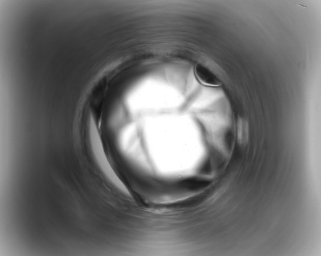 X0000088040723200706011323