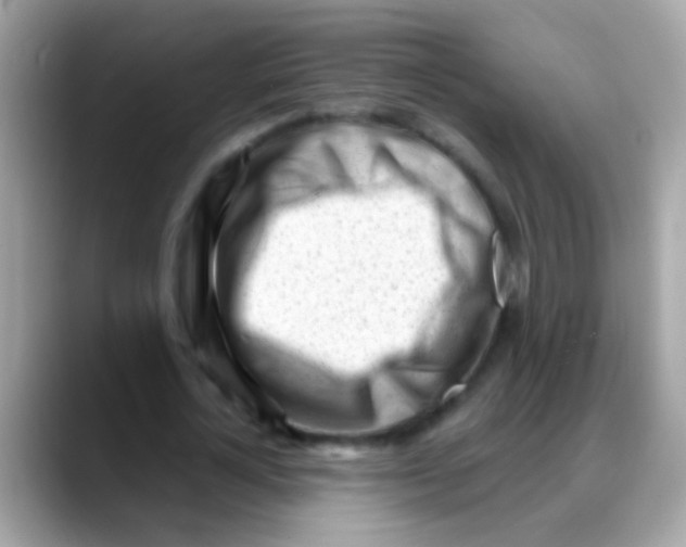 X0000088040724200706011323