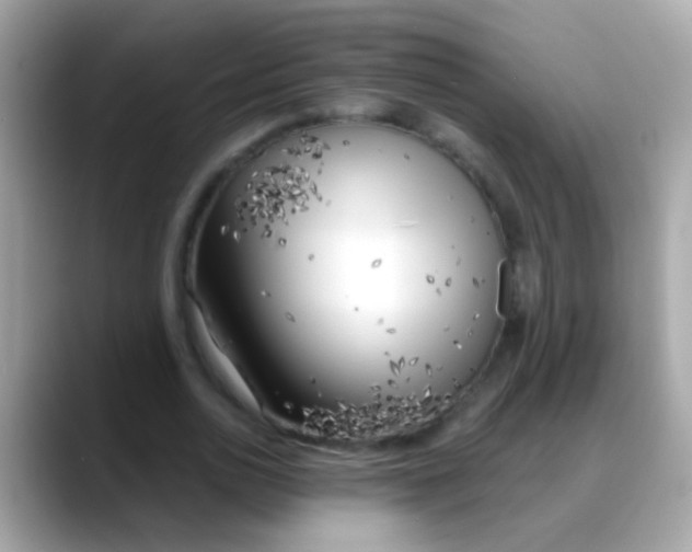 X0000088040726200706011323