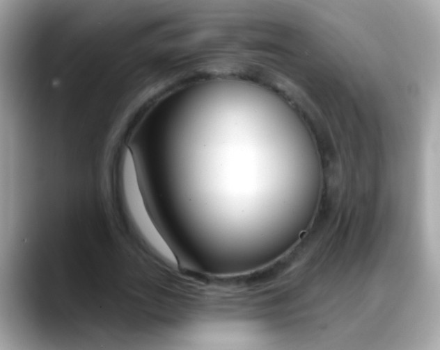 X0000088040727200706011323