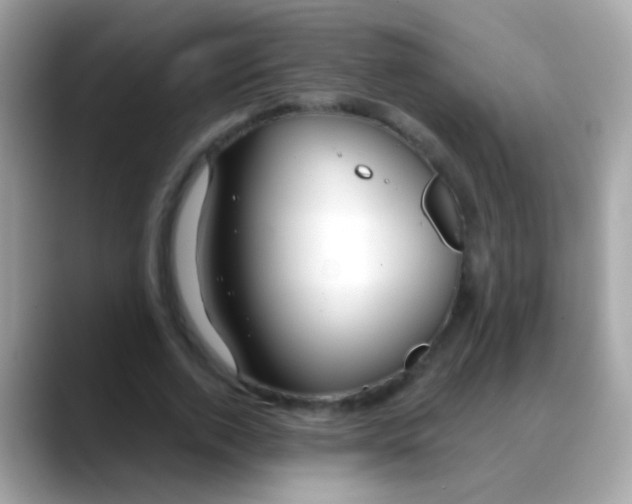 X0000088040728200706011323