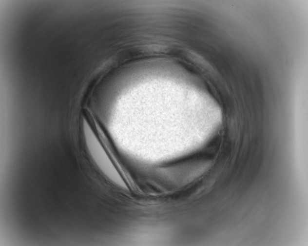 X0000088040729200706011323