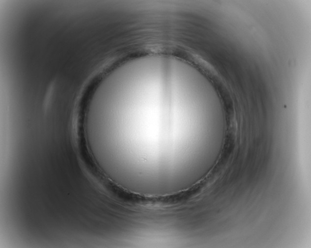 X0000088040730200706011323