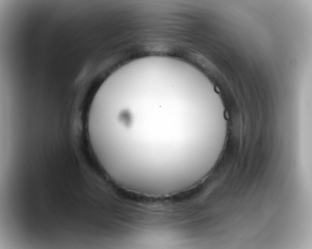 X0000088040731200706011323