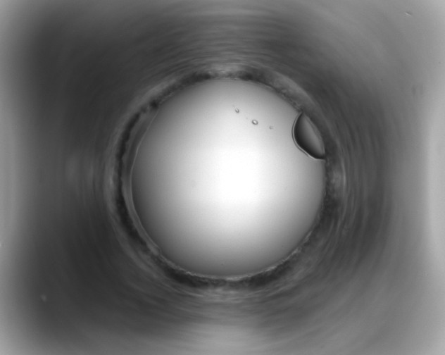 X0000088040732200706011323