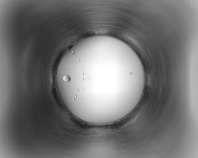 X0000088040733200706011323