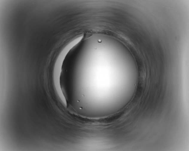 X0000088040734200706011323