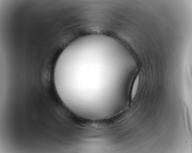 X0000088040739200706011323