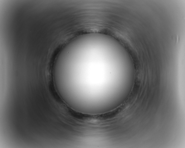 X0000088040743200706011323