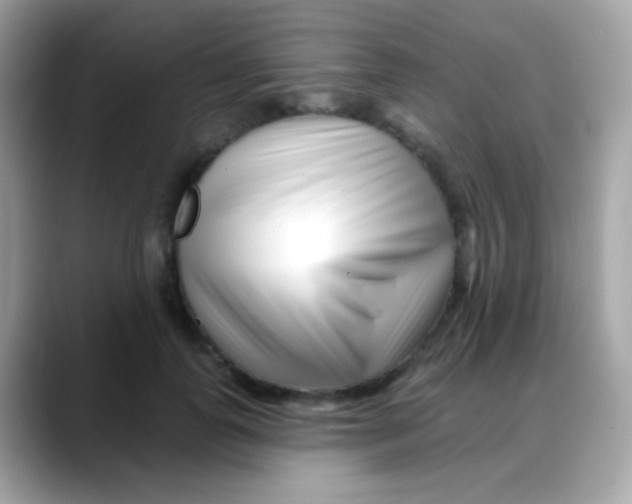 X0000088040747200706011323