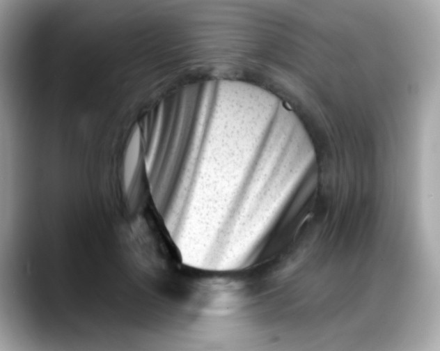 X0000088040748200706011324