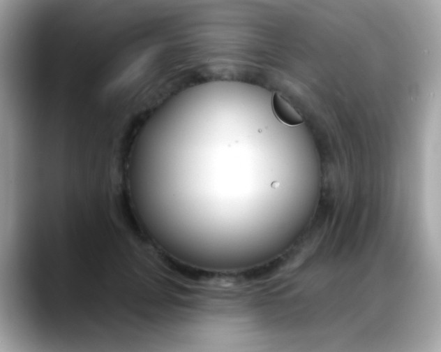 X0000088040751200706011324