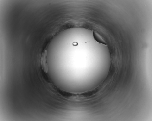 X0000088040752200706011324