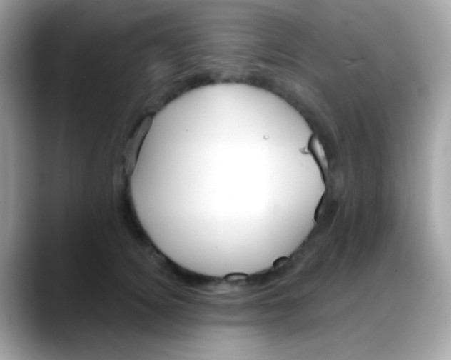 X0000088040756200706011324