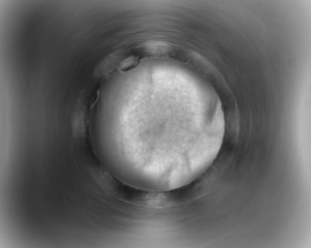 X0000088040762200706011324