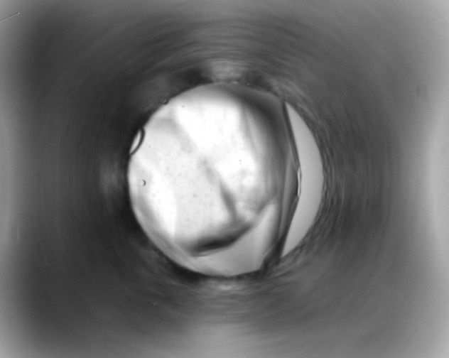 X0000088040763200706011324