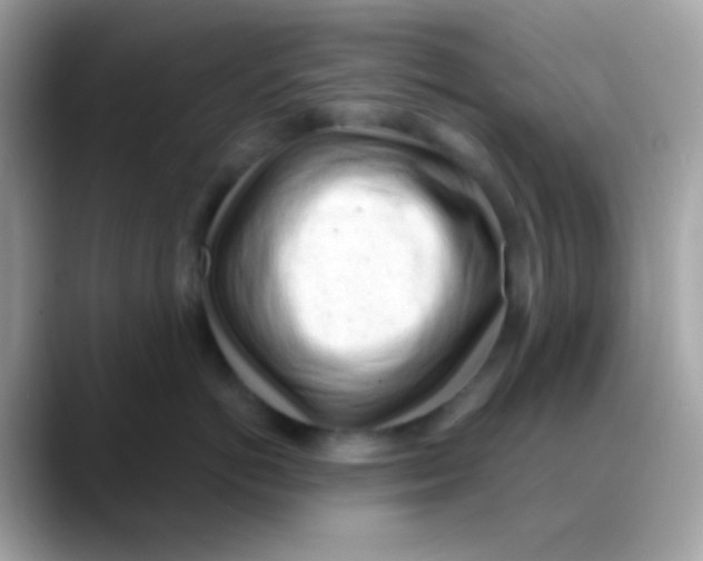 X0000088040766200706011324