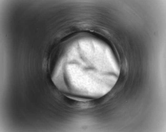 X0000088040767200706011324