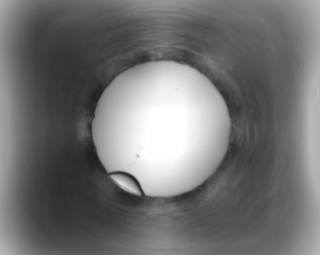 X0000088040770200706011323