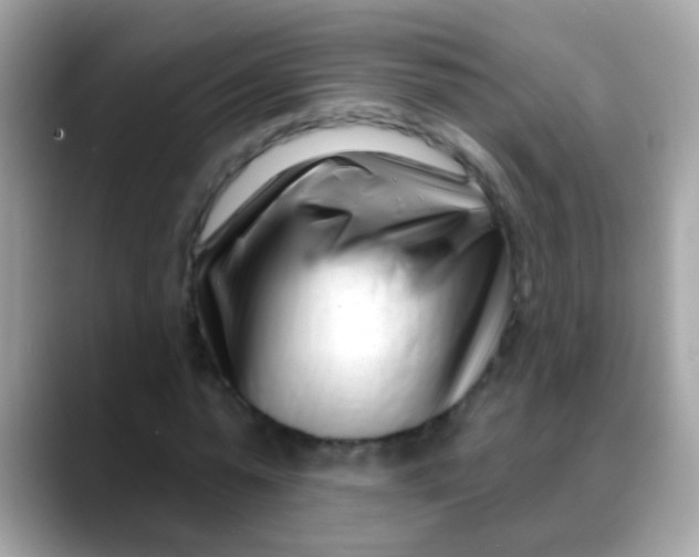 X0000088040775200706011323