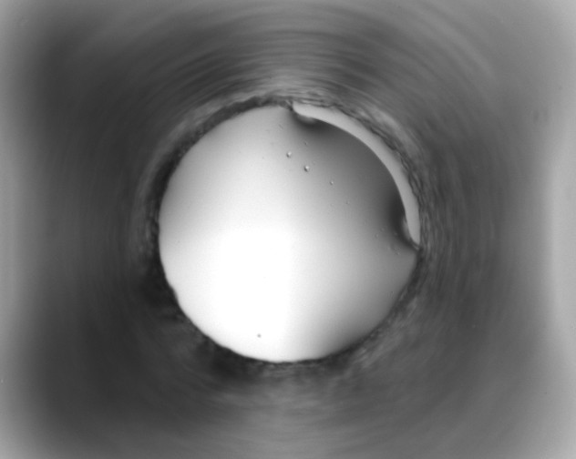 X0000088040776200706011323