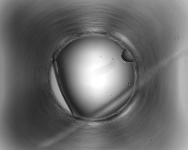 X0000088040777200706011323