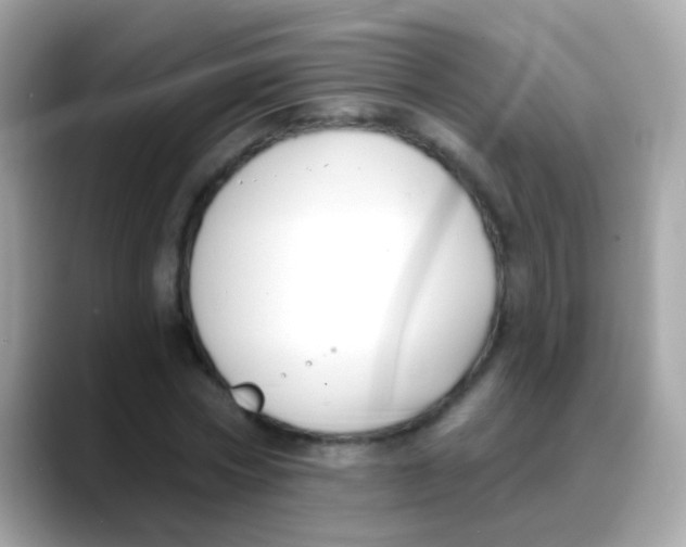 X0000088040778200706011323