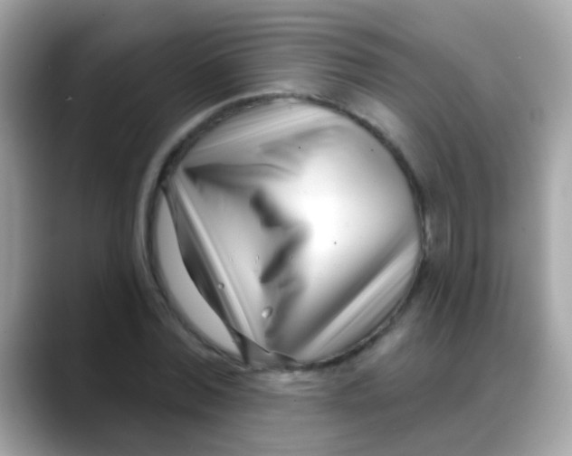 X0000088040780200706011323