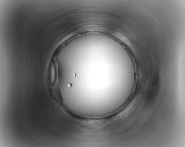 X0000088040782200706011323