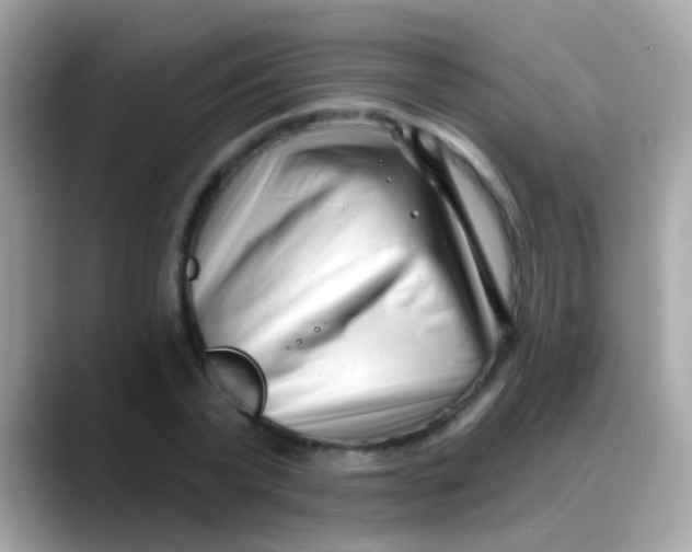 X0000088040783200706011323