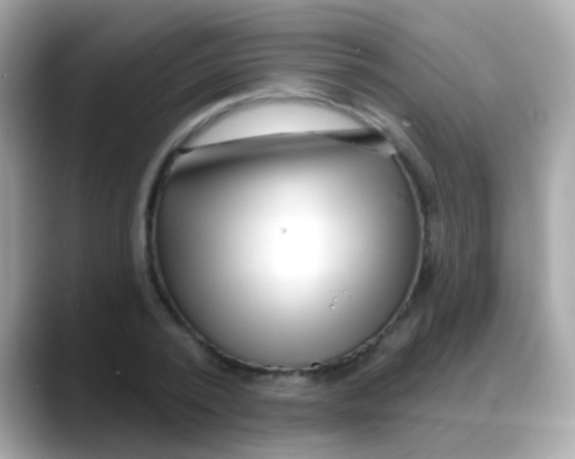 X0000088040784200706011323