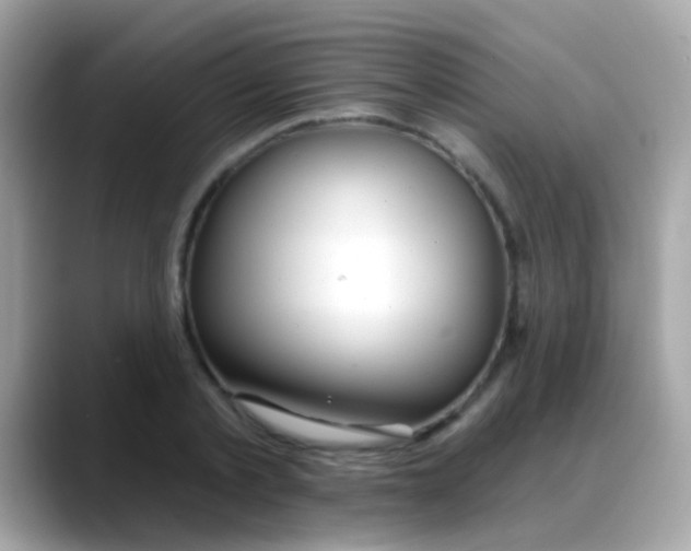 X0000088040789200706011323