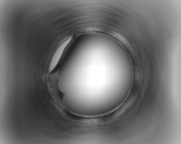 X0000088040793200706011323