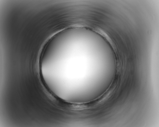 X0000088040795200706011323