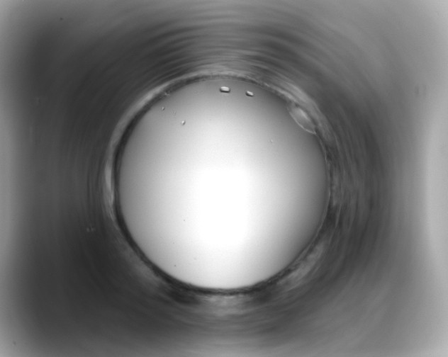 X0000088040796200706011323